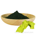 Health Supplements Food additive Spirulina Powder